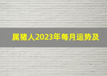 属猪人2023年每月运势及,属猪人2023年每月运势及运程详解宋韶光