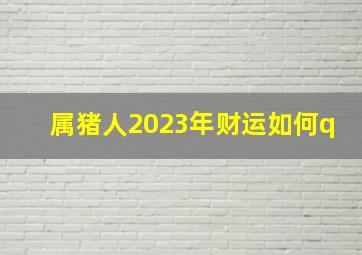 属猪人2023年财运如何q,属猪在2023年运势怎样