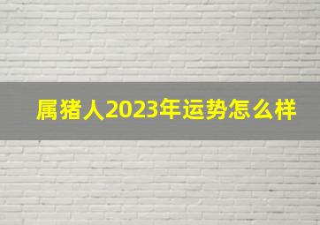 属猪人2023年运势怎么样,1983年属猪男2023年运势及运程每月运程吉运凶运如何