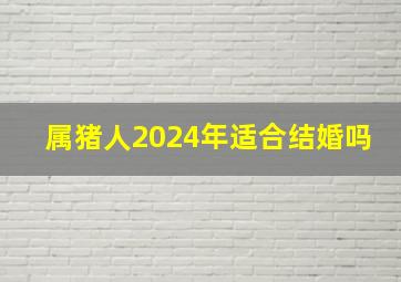 属猪人2024年适合结婚吗