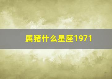 属猪什么星座1971,属猪什么星座出生最好