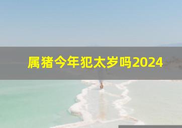 属猪今年犯太岁吗2024,属猪今年犯太岁吗2024