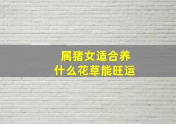 属猪女适合养什么花草能旺运,2024年属猪女种什么植物旺财