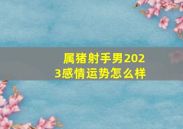 属猪射手男2023感情运势怎么样,属猪男2023年的全年运程概况属猪男人全体运势剖析