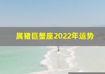 属猪巨蟹座2022年运势,2022年属猪人的全年运势事业发展非常有利