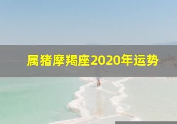 属猪摩羯座2020年运势,2020年属猪天蝎座全年运势