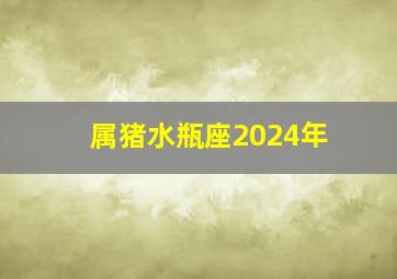 属猪水瓶座2024年,属猪水瓶座2024年的全年运势