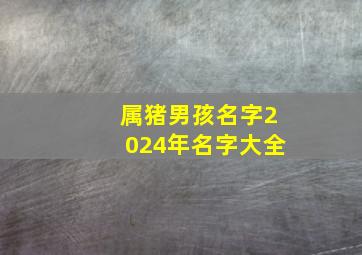 属猪男孩名字2024年名字大全,猪年男孩最合适的名字