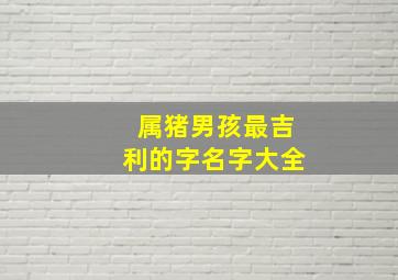 属猪男孩最吉利的字名字大全,属猪的男孩名字最佳的