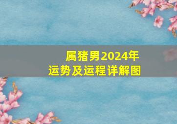 属猪男2024年运势及运程详解图,生肖猪在2024年的运势