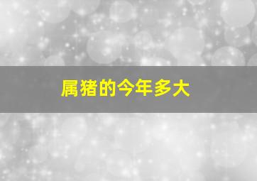 属猪的今年多大,生肖猪今年多少岁了2021年各方面运势如何