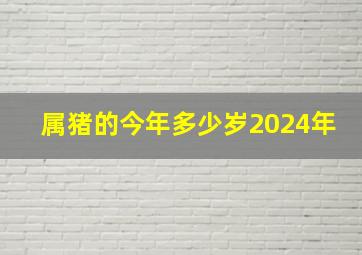 属猪的今年多少岁2024年,属猪的2024今年多大