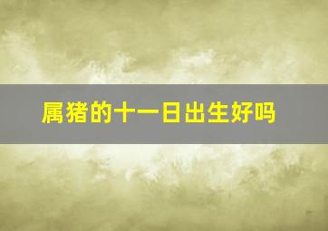 属猪的十一日出生好吗,属猪的哪天出生最好属猪人哪天出生最好命