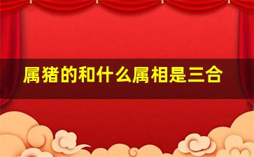 属猪的和什么属相是三合,属猪的生肖三合