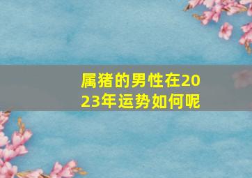 属猪的男性在2023年运势如何呢,生肖属猪的男人2023年安康运揭秘“天刑”星影响阻滞较多