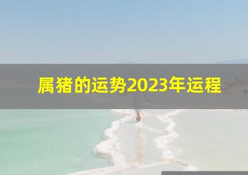 属猪的运势2023年运程,猪年生人2023年运势及运程