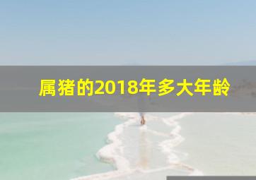 属猪的2018年多大年龄