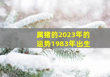 属猪的2023年的运势1983年出生,2023年83年属猪女的运势和财运