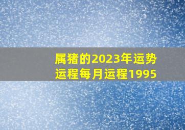 属猪的2023年运势运程每月运程1995,95年属猪女命2023年运势运程兔年运势查询