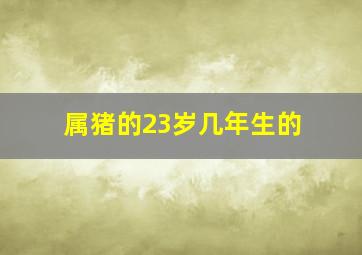 属猪的23岁几年生的,属猪的年龄表