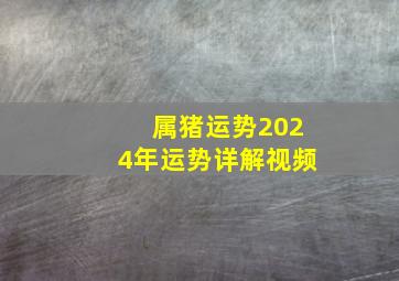 属猪运势2024年运势详解视频,生肖猪2024年运势