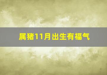 属猪11月出生有福气,2007年属猪的几月出生最好11月出生一生享福