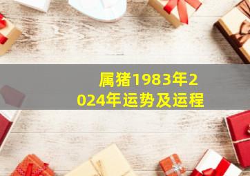 属猪1983年2024年运势及运程