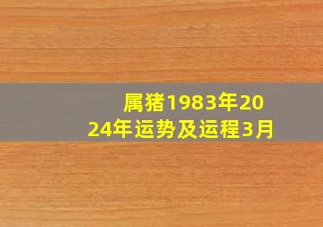 属猪1983年2024年运势及运程3月,83年属猪人2024年运程