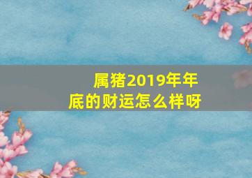 属猪2019年年底的财运怎么样呀,2019年属猪人全体运势