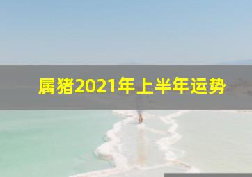 属猪2021年上半年运势,属猪2021上半年爱情运势怎样样