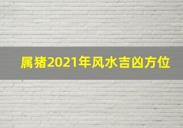 属猪2021年风水吉凶方位,2021属猪的事业开展方位