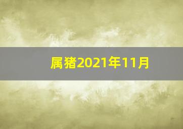 属猪2021年11月,2021年属猪人全年运势解析