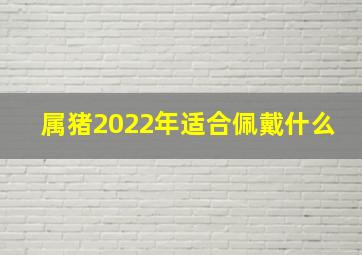 属猪2022年适合佩戴什么,2022属猪人戴什么最好最旺2022属猪的人应该戴什么最好最旺