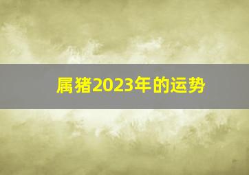 属猪2023年的运势,2023年属猪人的全年运势详解