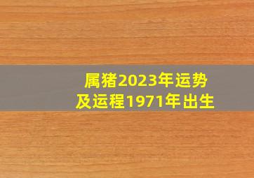 属猪2023年运势及运程1971年出生,2023年属猪女1971全年运势