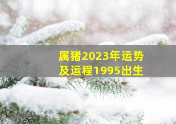 属猪2023年运势及运程1995出生,1995年属猪人2023年运势运程地支与太岁呈三合