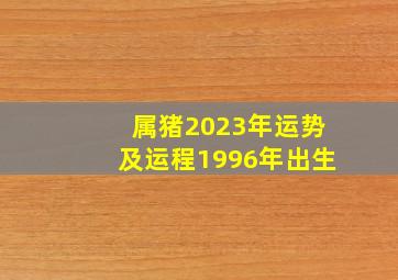 属猪2023年运势及运程1996年出生,2023属猪的多大岁数运势如何