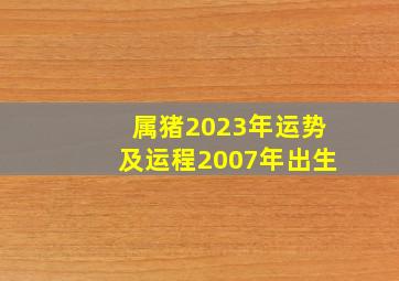 属猪2023年运势及运程2007年出生,2007年属猪2023年运势及运程每月运程