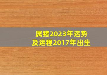 属猪2023年运势及运程2017年出生,属猪人2023年全年运势及运程