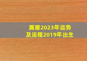 属猪2023年运势及运程2019年出生,属猪人2023年全年每月运势吉凶详解