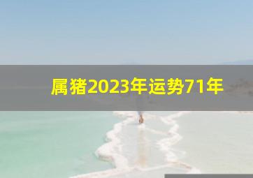 属猪2023年运势71年,2023年71年属猪的运程安康需警觉