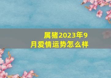 属猪2023年9月爱情运势怎么样,2022年属猪人的婚姻运如何属猪的人2022年结婚利月