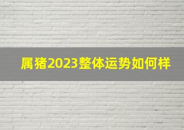 属猪2023整体运势如何样,1983年属猪男2023年运势及运程每月运程吉运凶运如何