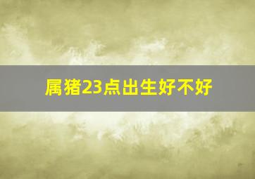 属猪23点出生好不好,属猪人几点出生最好属猪人出生时辰的命运解析