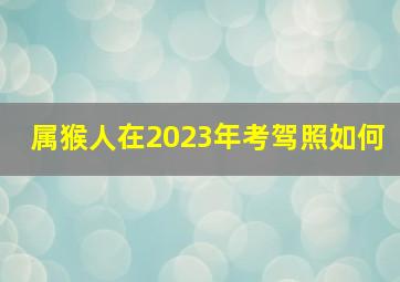 属猴人在2023年考驾照如何,2023年最新考驾照