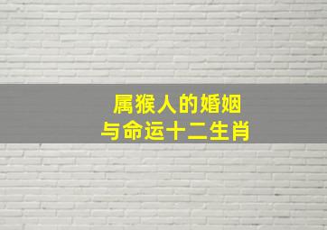 属猴人的婚姻与命运十二生肖,属猴人的婚姻最佳配偶