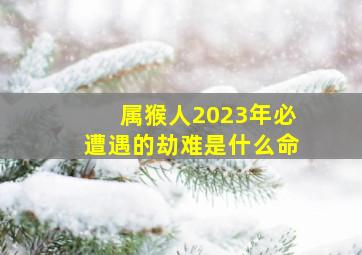 属猴人2023年必遭遇的劫难是什么命,1980年属猴人2023年运势剖析有什么灾难