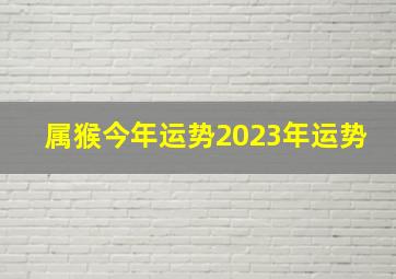 属猴今年运势2023年运势,属猴2023年运势及运程详解