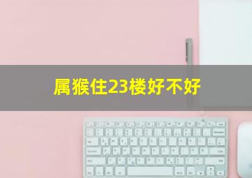 属猴住23楼好不好,属猴人住几楼最吉利住在什么楼层好呢