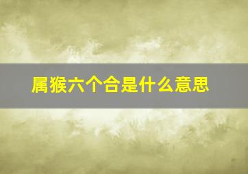 属猴六个合是什么意思,